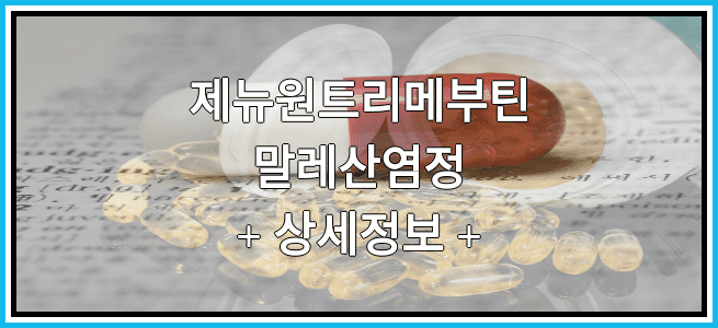 제뉴원트리메부틴말레산염정의 상세정보