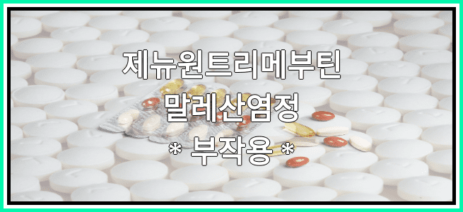 제뉴원트리메부틴말레산염정의 부작용 설명