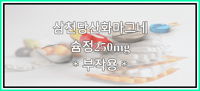 삼천당산화마그네슘정250mg의 부작용 설명