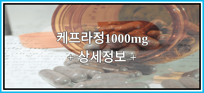 케프라정1000mg 부작용 및 효능, 임산부가 복용해도 되나요?