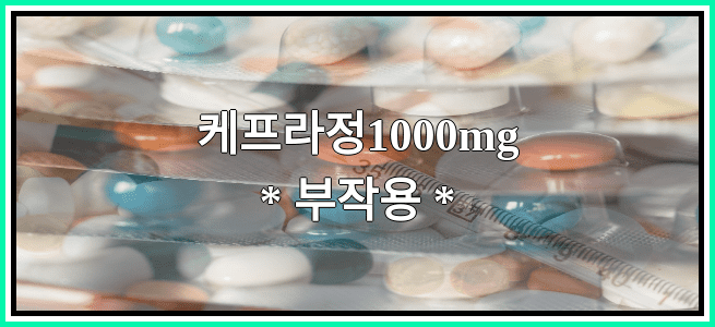 케프라정1000mg의 부작용 설명