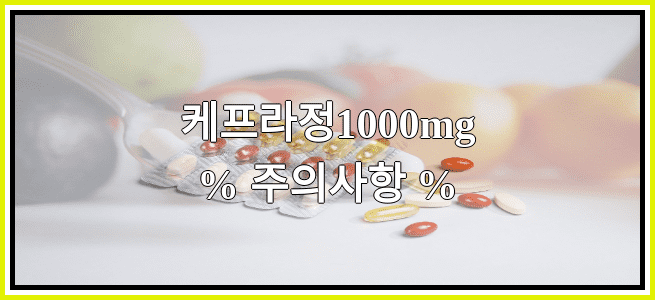 케프라정1000mg의 부작용 설명