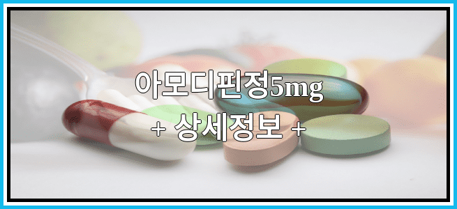 아모디핀정5mg 효능효과 복용법 임산부등급 부작용