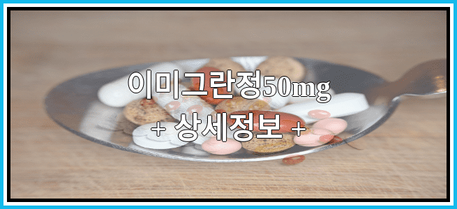 이미그란정50mg 임산부 금기등급 및 효능 부작용 알아보기