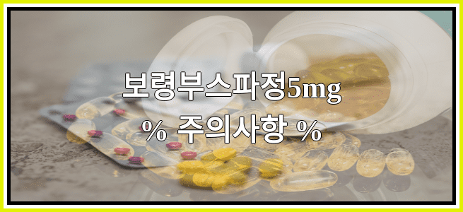 보령부스파정5mg의 부작용 설명