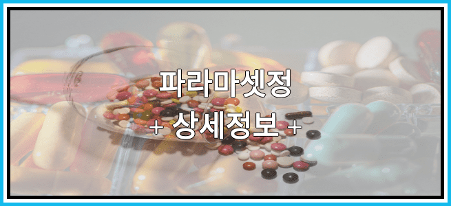 파라마셋정 임산부 금기등급 및 효능 부작용 알아보기