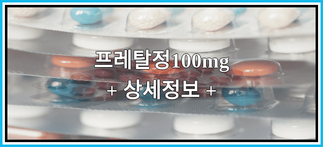 프레탈정100mg 임산부 금기등급 및 효능 부작용 알아보기