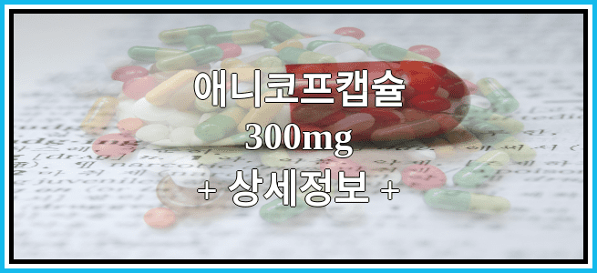 애니코프캡슐300mg 복용방법 및 부작용