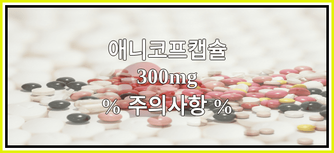 애니코프캡슐300mg의 부작용 설명