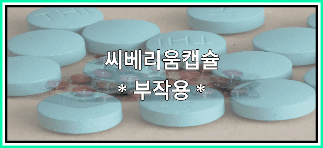 씨베리움캡슐의 부작용 설명