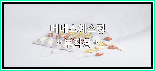 메네스에스정의 부작용 설명