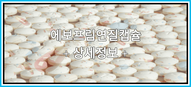 에보프림연질캡슐 복용방법 및 부작용 그리고 임산부 금기 등급