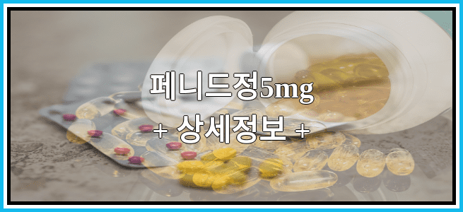 페니드정5mg 임산부 금기등급 및 효능 부작용 알아보기