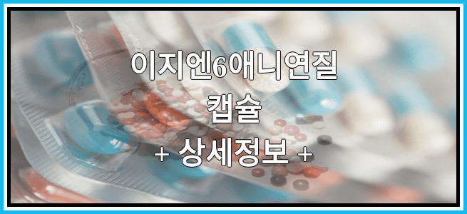 이지엔6애니연질캡슐 복용방법 및 부작용 그리고 임산부 금기 등급