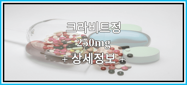 크라비트정250mg 효능 및 부작용과 임산부 복용 정보