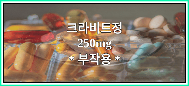 크라비트정250mg의 부작용 설명