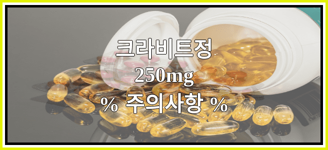 크라비트정250mg의 부작용 설명