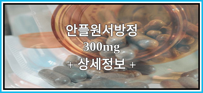 안플원서방정300mg 효능효과 복용법 임산부등급 부작용