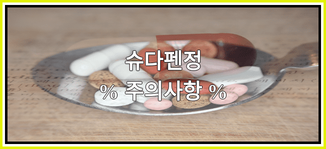 슈다펜정의 부작용 설명