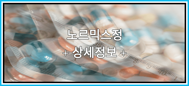 노르믹스정 임산부 금기등급 및 효능 부작용 알아보기