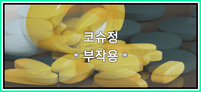 코슈정의 부작용 설명