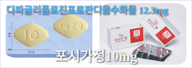 포시가정10mg의 모양