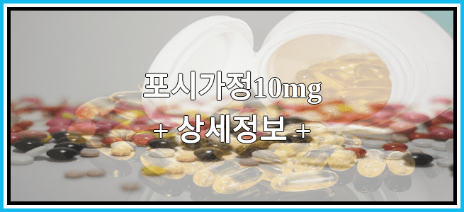 포시가정10mg 임산부 금기등급 및 효능 부작용 알아보기