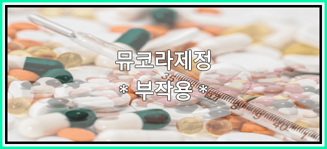 뮤코라제정의 부작용 설명