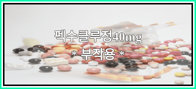 펙수클루정40mg의 부작용 설명