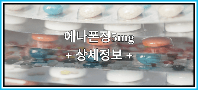 에나폰정5mg 효능효과 복용법 임산부등급 부작용