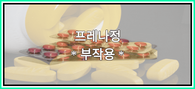 프레나정의 부작용 설명