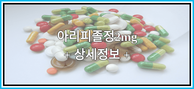 아리피졸정2mg 효능효과 복용법 임산부등급 부작용