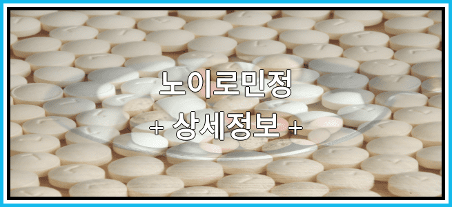 노이로민정 임산부 금기등급 및 효능 부작용 알아보기