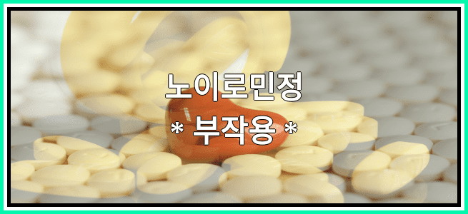 노이로민정의 부작용 설명