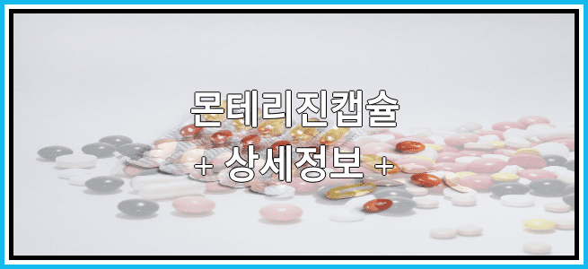 몬테리진캡슐 부작용 및 효능에 대해서