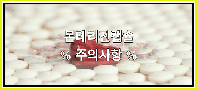 몬테리진캡슐의 부작용 설명