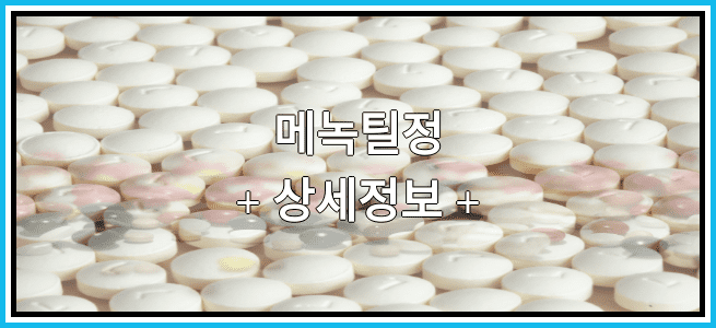 메녹틸정 효능효과 복용법 부작용