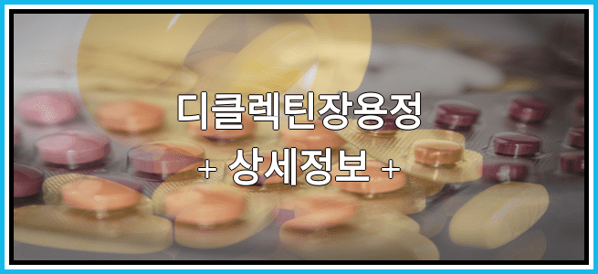 디클렉틴장용정 복용방법 및 부작용