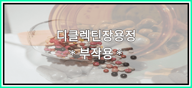 디클렉틴장용정의 부작용 설명