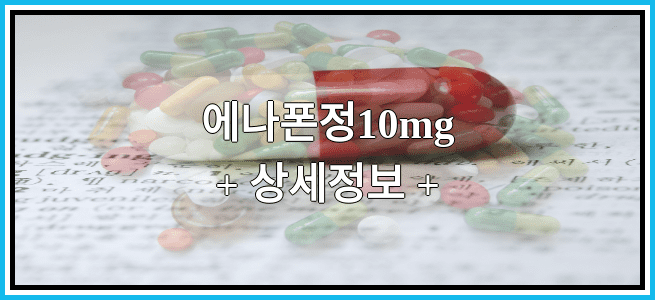 에나폰정10mg 효과 및 임산부 등급, 부작용에 대해서