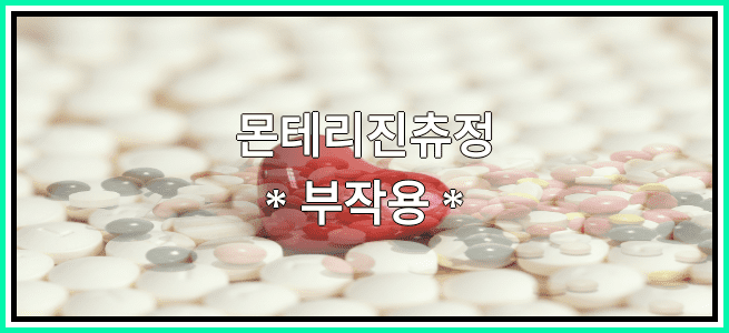 몬테리진츄정의 부작용 설명