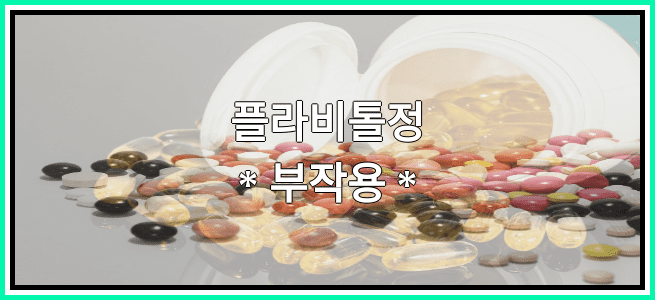 플라비톨정의 부작용 설명