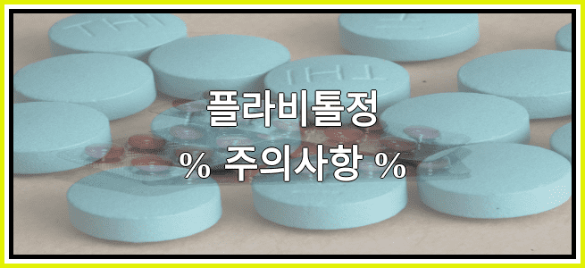 플라비톨정의 부작용 설명