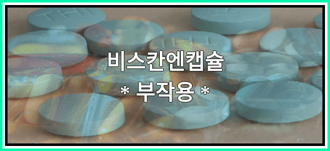 비스칸엔캡슐의 부작용 설명