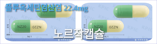 노르작캡슐의 모양