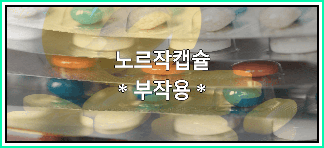 노르작캡슐의 부작용 설명