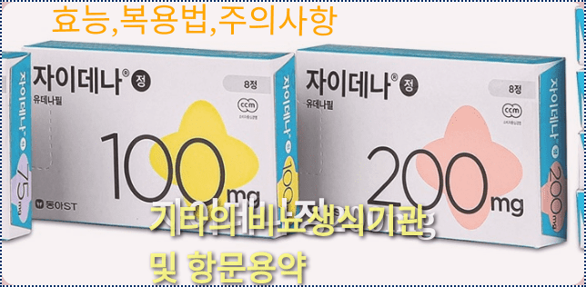 자이데나정200mg의 제품외형