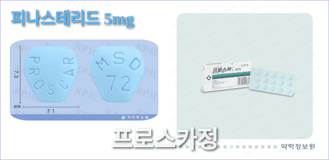 프로스카정의 모양