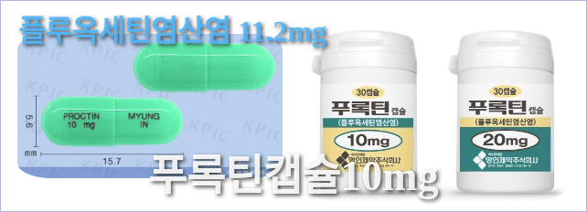 푸록틴캡슐10mg의 모양