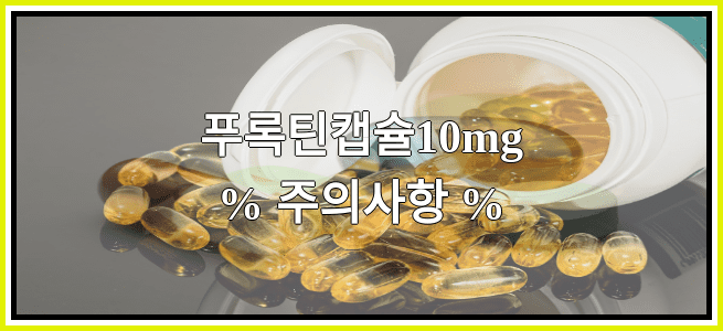 푸록틴캡슐10mg의 부작용 설명